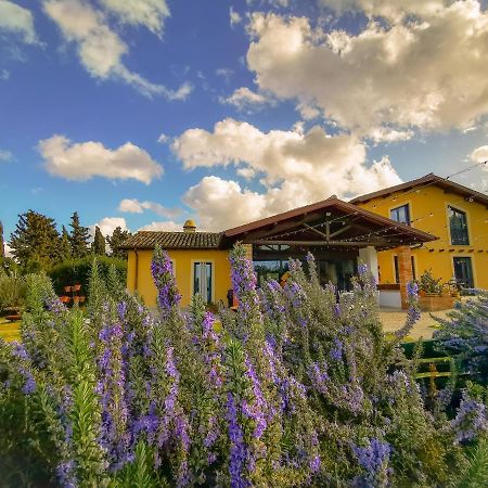 Country House Erba Regina Frascati Exteriör bild