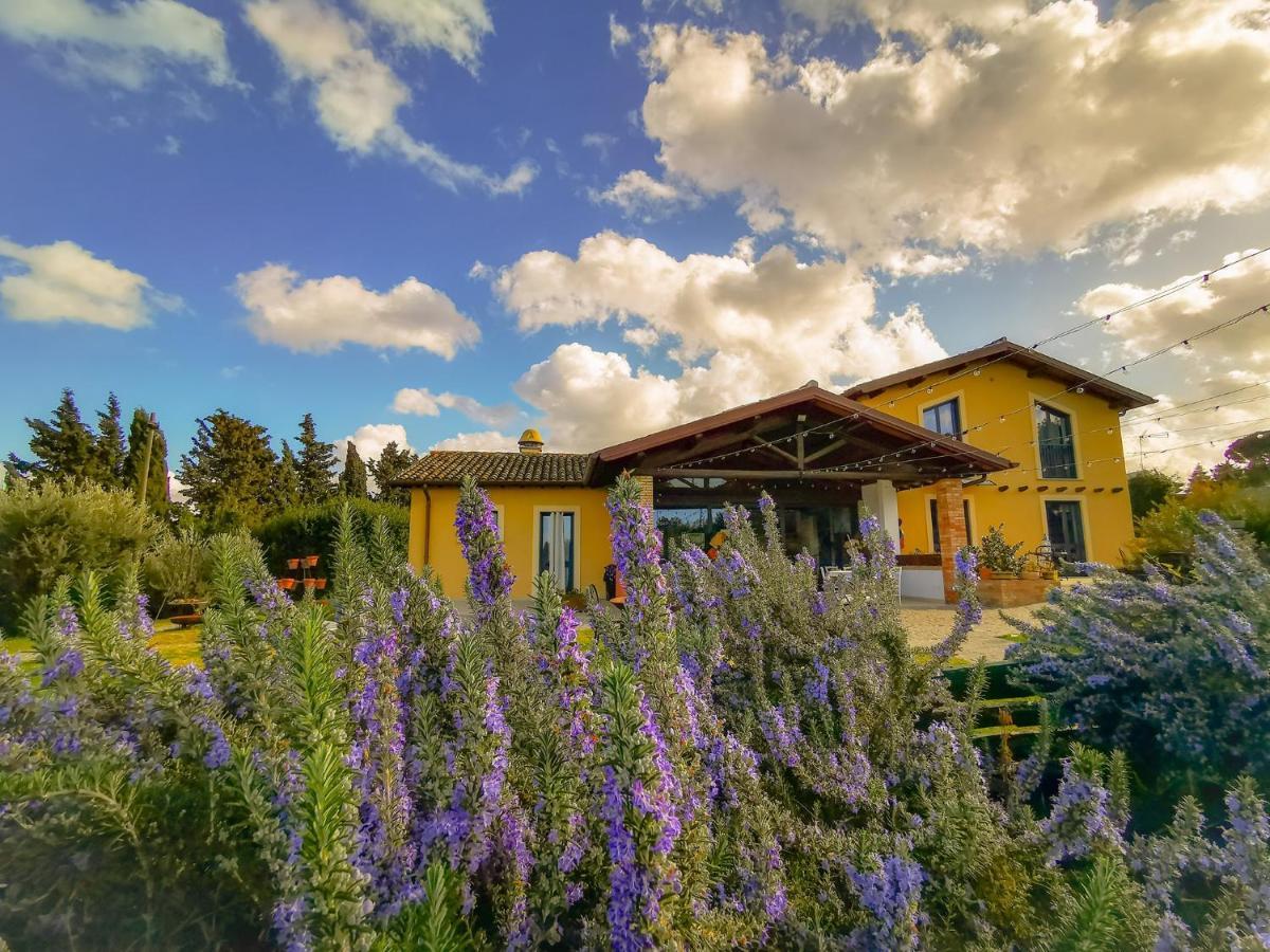 Country House Erba Regina Frascati Exteriör bild