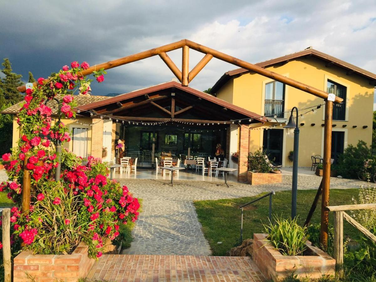 Country House Erba Regina Frascati Exteriör bild