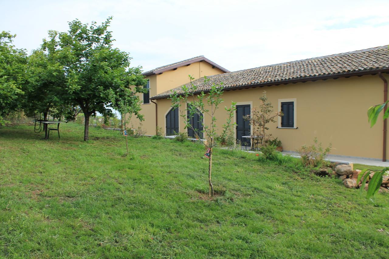 Country House Erba Regina Frascati Exteriör bild